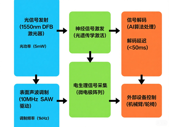 腦機(jī)接口光開(kāi)關(guān)神經(jīng)調(diào)控系統(tǒng)工作流程圖 腦機(jī)接口光開(kāi)關(guān)神經(jīng)調(diào)控系統(tǒng)工作流程圖